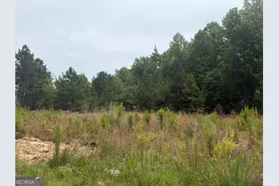 6 Sunhill Grange Road, Davisboro, GA 31018 - Photo 5