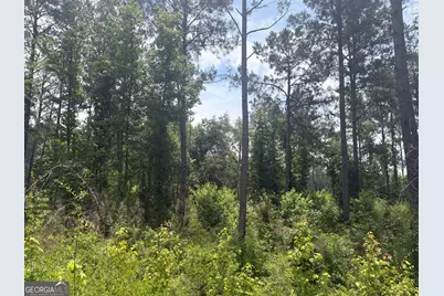 8 Sunhill Grange Road, Davisboro, GA 31018 - Photo 7