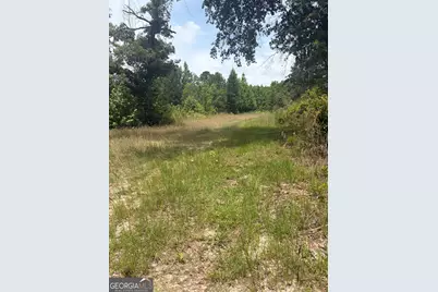 8 Sunhill Grange Road, Davisboro, GA 31018 - Photo 9