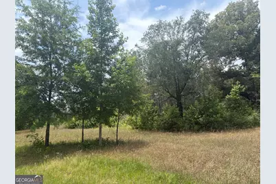 8 Sunhill Grange Road, Davisboro, GA 31018 - Photo 3