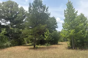8 Sun Hill Grange Rd, Davisboro, GA 31018 - Photo 1