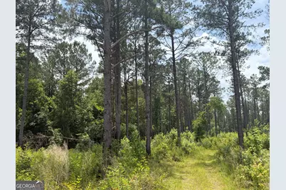 9 Sunhill Grange Road, Davisboro, GA 31018 - Photo 5