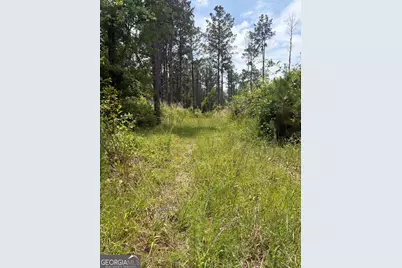 9 Sunhill Grange Road, Davisboro, GA 31018 - Photo 1