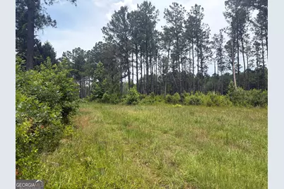 9 Sunhill Grange Road, Davisboro, GA 31018 - Photo 11