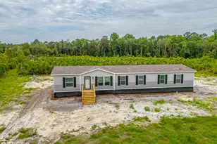 6401 Riverside Rd, Nahunta, GA 31553 - Photo 39