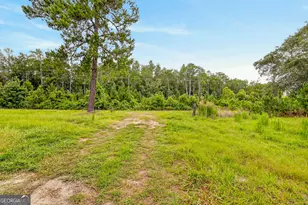 6401 Riverside Rd, Nahunta, GA 31553 - Photo 37