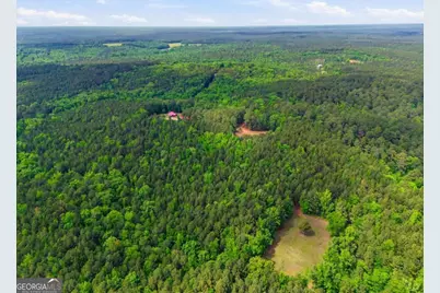 2630 Cold Springs Road, Greensboro, GA 30642 - Photo 9