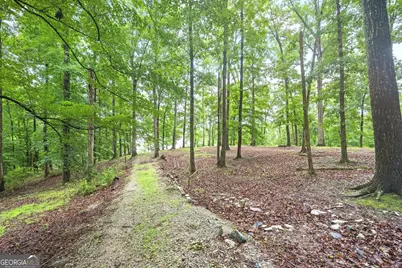394 Ferrell Tatum Road, Lagrange, GA 30240 - Photo 7