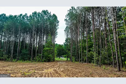 205 Sunset Drive, Summerville, GA 30747 - Photo 17