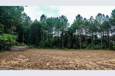 205 Sunset Drive, Summerville, GA 30747 - Photo 15
