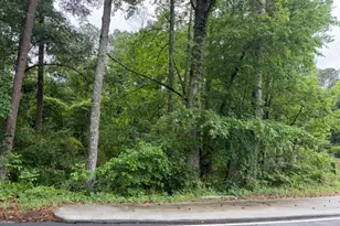 0 Johnson Rd, Palmetto, GA 30268 - Photo 1