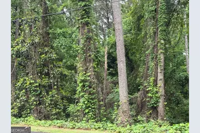 0 Johnson Road, Palmetto, GA 30268 - Photo 3