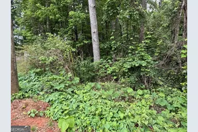 0 Johnson Road, Palmetto, GA 30268 - Photo 11