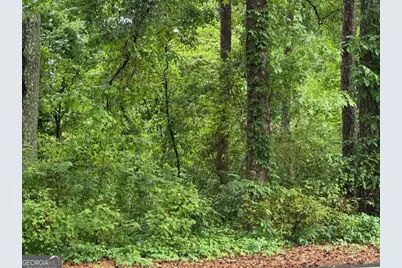 0 Johnson Road, Palmetto, GA 30268 - Photo 9
