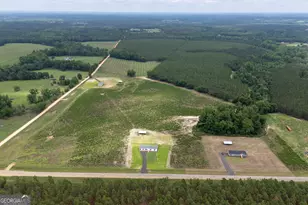 444 L B Hall Rd, Garfield, GA 30425 - Photo 35