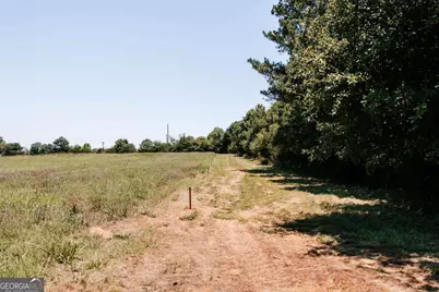 0 Mitchell Farm Road, Colbert, GA 30628 - Photo 47
