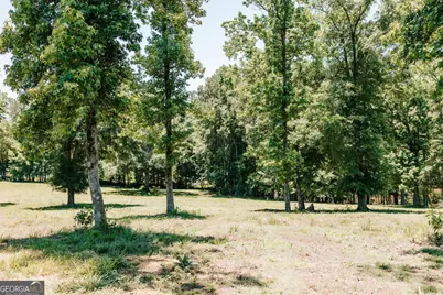 0 Mitchell Farm Road, Colbert, GA 30628 - Photo 23