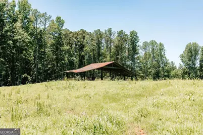 0 Mitchell Farm Road, Colbert, GA 30628 - Photo 13