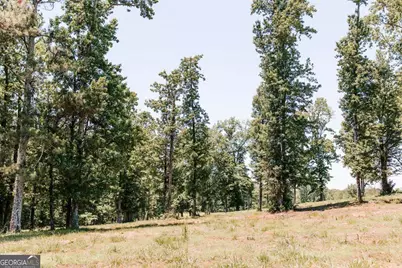 0 Mitchell Farm Road, Colbert, GA 30628 - Photo 21