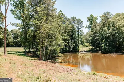 0 Mitchell Farm Road, Colbert, GA 30628 - Photo 19