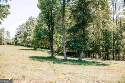 0 Mitchell Farm Road, Colbert, GA 30628 - Photo 41