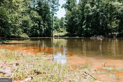0 Mitchell Farm Road, Colbert, GA 30628 - Photo 7