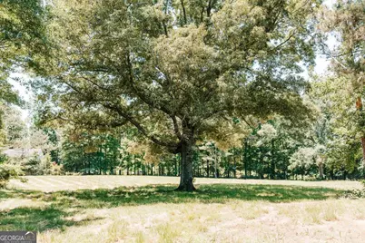 0 Mitchell Farm Road, Colbert, GA 30628 - Photo 15