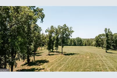 0 Mitchell Farm Road, Colbert, GA 30628 - Photo 11