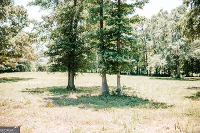 0 Mitchell Farm Road, Colbert, GA 30628 - Photo 43