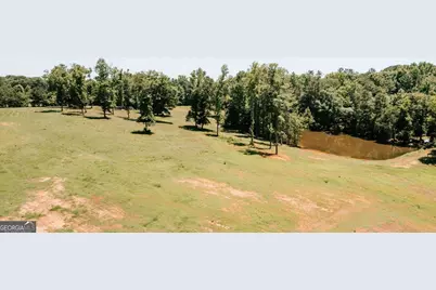 0 Mitchell Farm Road, Colbert, GA 30628 - Photo 5