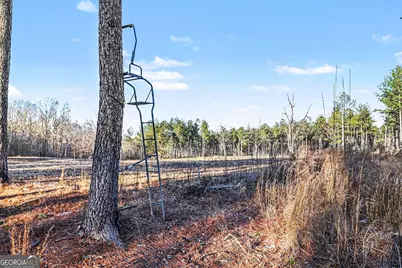 2285 Cherokee Road, Comer, GA 30629 - Photo 23