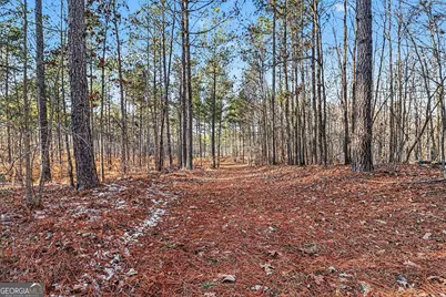 2285 Cherokee Road, Comer, GA 30629 - Photo 19