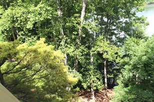 772 Big Oak Ln, Hiawassee, GA 30546 - Photo 53