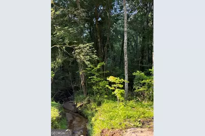 0 Benelli Ridge #15, Sharpsburg, GA 30277 - Photo 5
