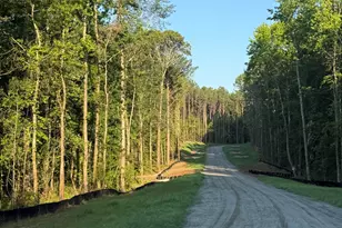 0 Benelli Ridge, Sharpsburg, GA 30277 - Photo 1