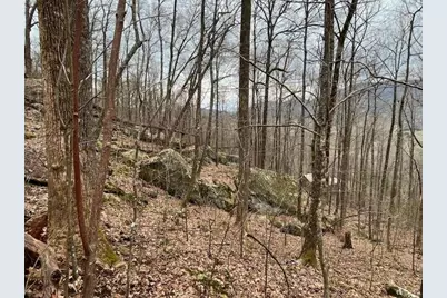 92 Boulder Lane, Rabun Gap, GA 30568 - Photo 47