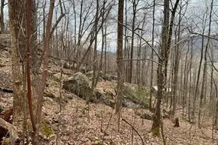 92 Boulder Ln, Rabun Gap, GA 30568 - Photo 47
