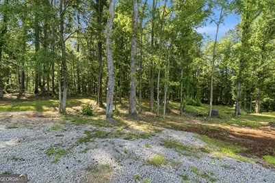 313 Scuffleboro Road, Eatonton, GA 31024 - Photo 39