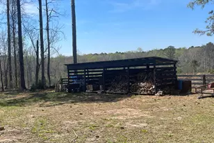 4374 River Rd, Manchester, GA 31816 - Photo 13