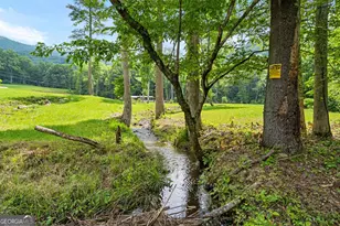 1449 Muskrat Creek Rd, Hayesville, NC 28904 - Photo 53