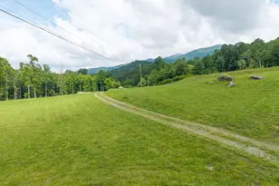 1449 Muskrat Creek Rd, Hayesville, NC 28904 - Photo 63