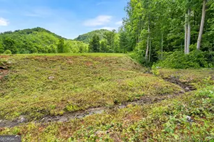 1449 Muskrat Creek Rd, Hayesville, NC 28904 - Photo 49