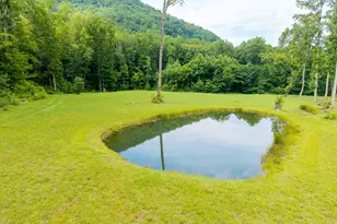 1449 Muskrat Creek Rd, Hayesville, NC 28904 - Photo 9