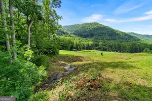 1449 Muskrat Creek Rd, Hayesville, NC 28904 - Photo 51