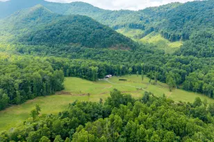 1449 Muskrat Creek Rd, Hayesville, NC 28904 - Photo 61