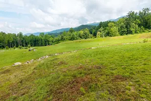 1449 Muskrat Creek Rd, Hayesville, NC 28904 - Photo 59