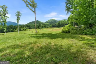 1449 Muskrat Creek Rd, Hayesville, NC 28904 - Photo 43