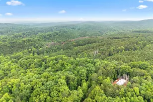 783 Berean Church Rd, Ellijay, GA 30540 - Photo 29