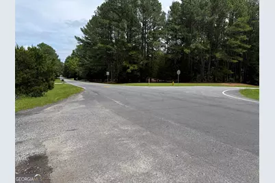 148 Hillview Road #7.1 AC, Hampton, GA 30228 - Photo 3