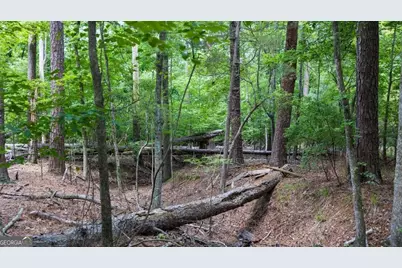 0 Indian Cirlce, Lincolnton, GA 30817 - Photo 7